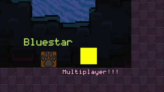 Multiplayer